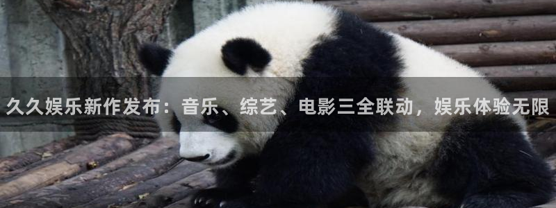 辉达平台app新版上线体验.游戏更新入口.中国