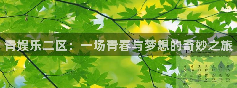 辉达平台链接