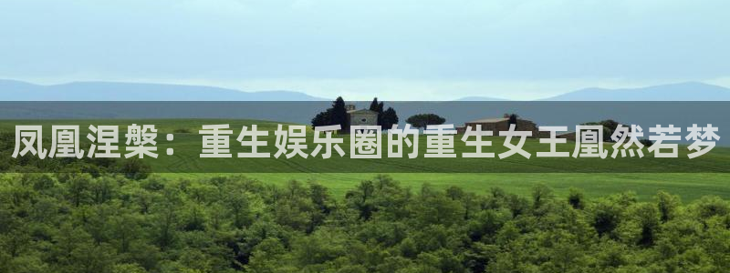 辉达平台网站平台登录