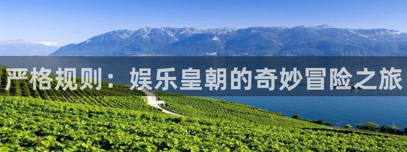 辉达平台平台官方入口
