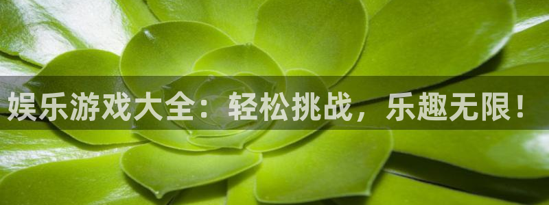 壹号app官网