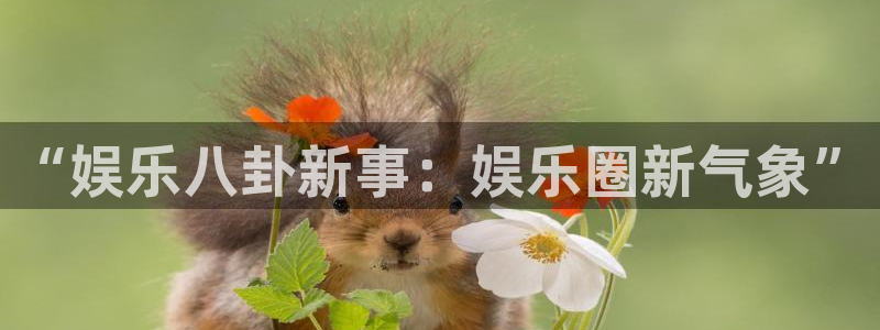 辉达平台登录
