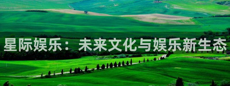 辉达平台下载