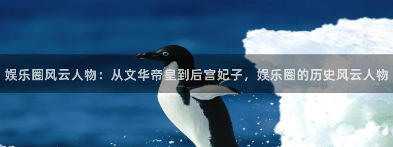 壹号大舞台官网入口
