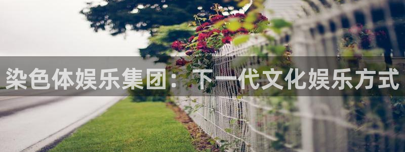 辉达平台官网地址