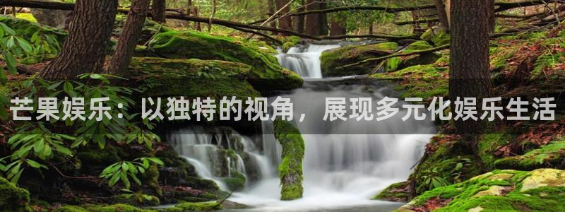 壹号top娱乐