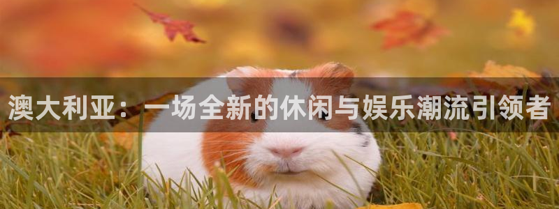 辉达平台平台官网登录入口