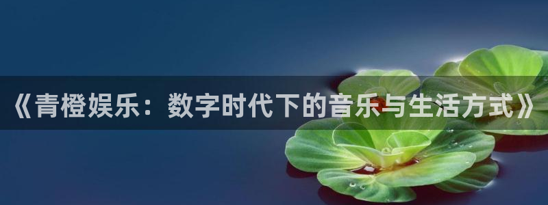 辉达平台强制退款流程详解
