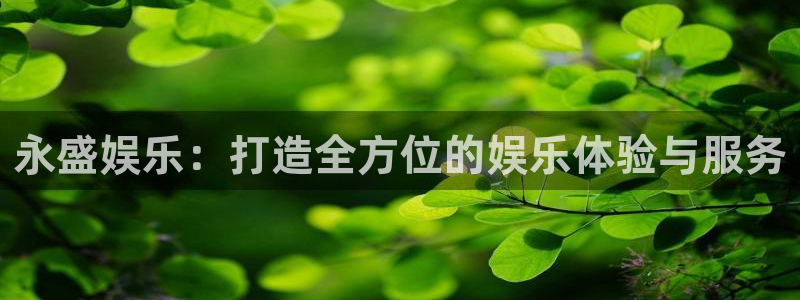 壹号平台下载安装