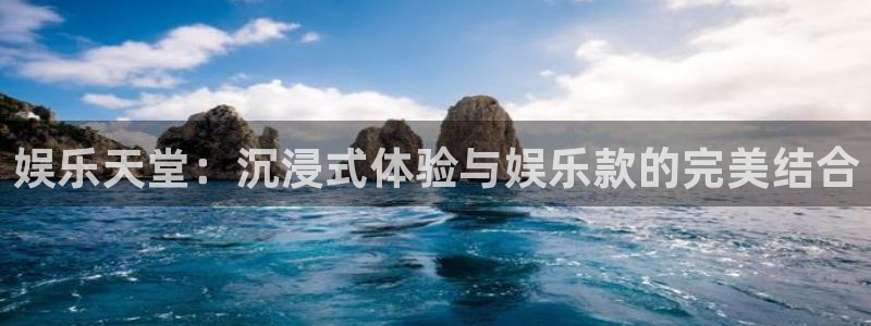 辉达平台强制退款流程详解