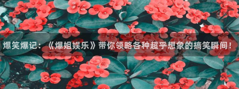 辉达平台麻将胡了