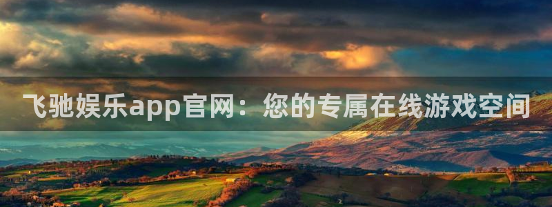 辉达平台app新版上线体验.游戏更新入口.中国