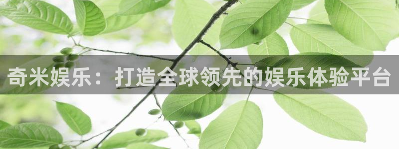 壹号电子娱乐app下载