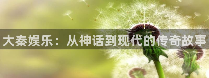 辉达平台app