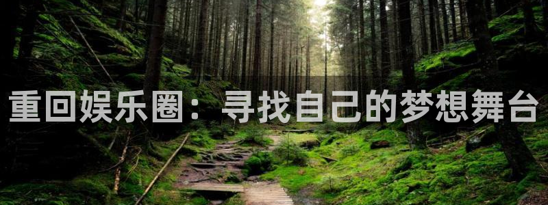 辉达平台有梦你就来