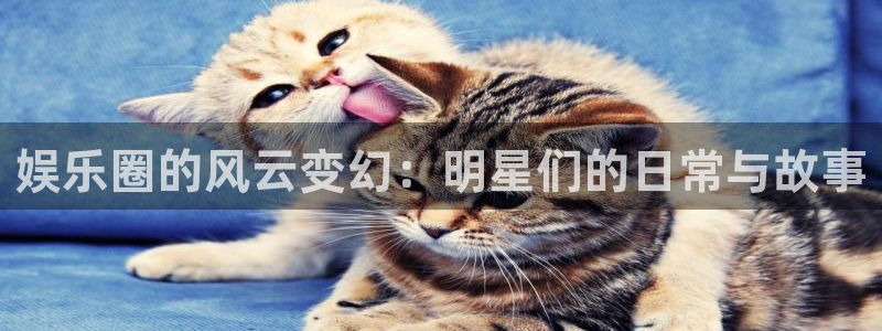 辉达平台电子游戏网页版