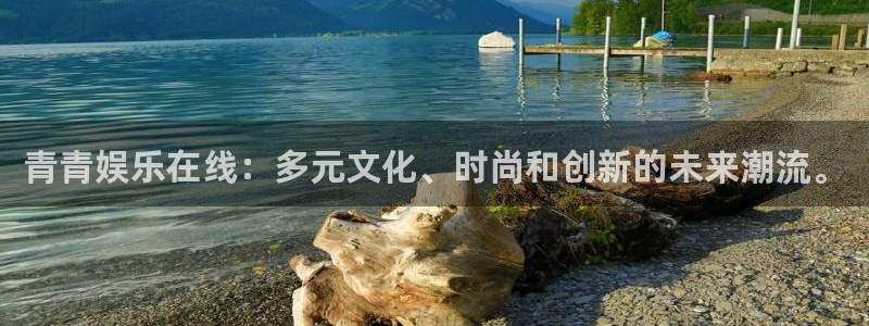 辉达平台平台app下载