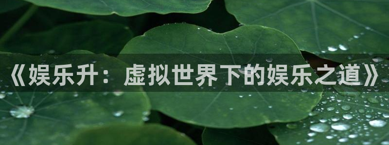 辉达平台