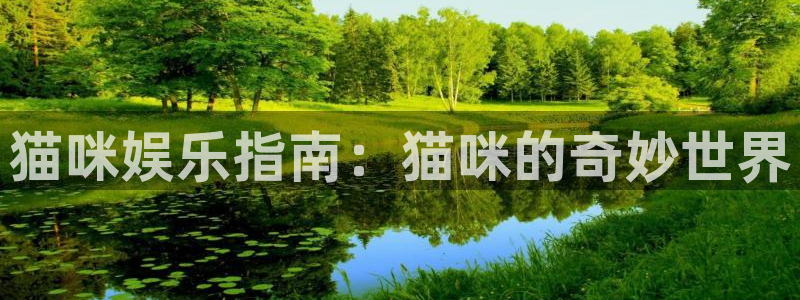 辉达平台下载二维码：猫咪娱乐指南：猫咪的奇妙世界