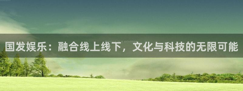 辉达平台.ccm官网版