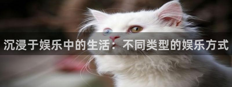 辉达平台平台链接