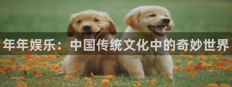 辉达平台注册入口