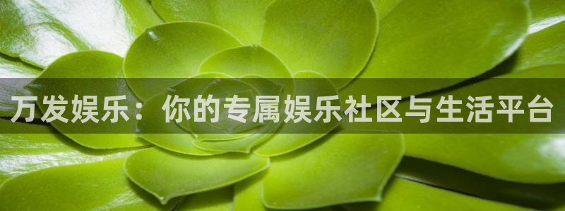 辉达平台充值怎么退款