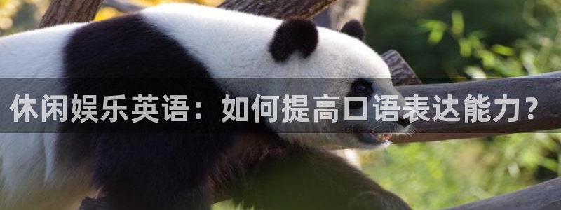 辉达平台预测在线预测：休闲娱乐英语：如何提高口语表达能力？
