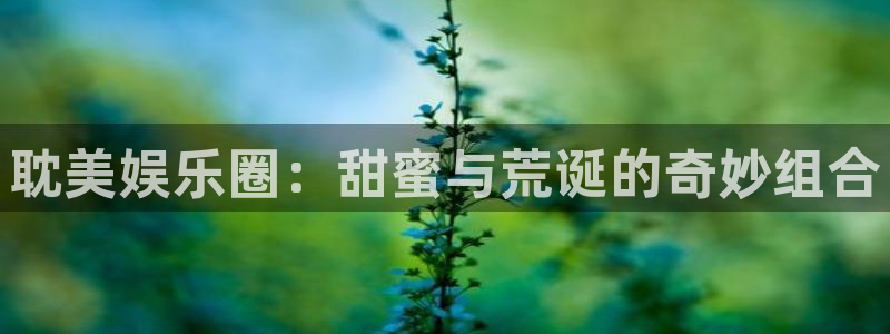 辉达平台.ccm：耽美娱乐圈：甜蜜与荒诞的奇妙组合